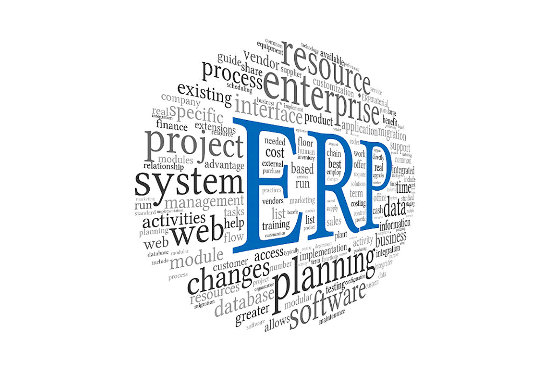 top erp provider